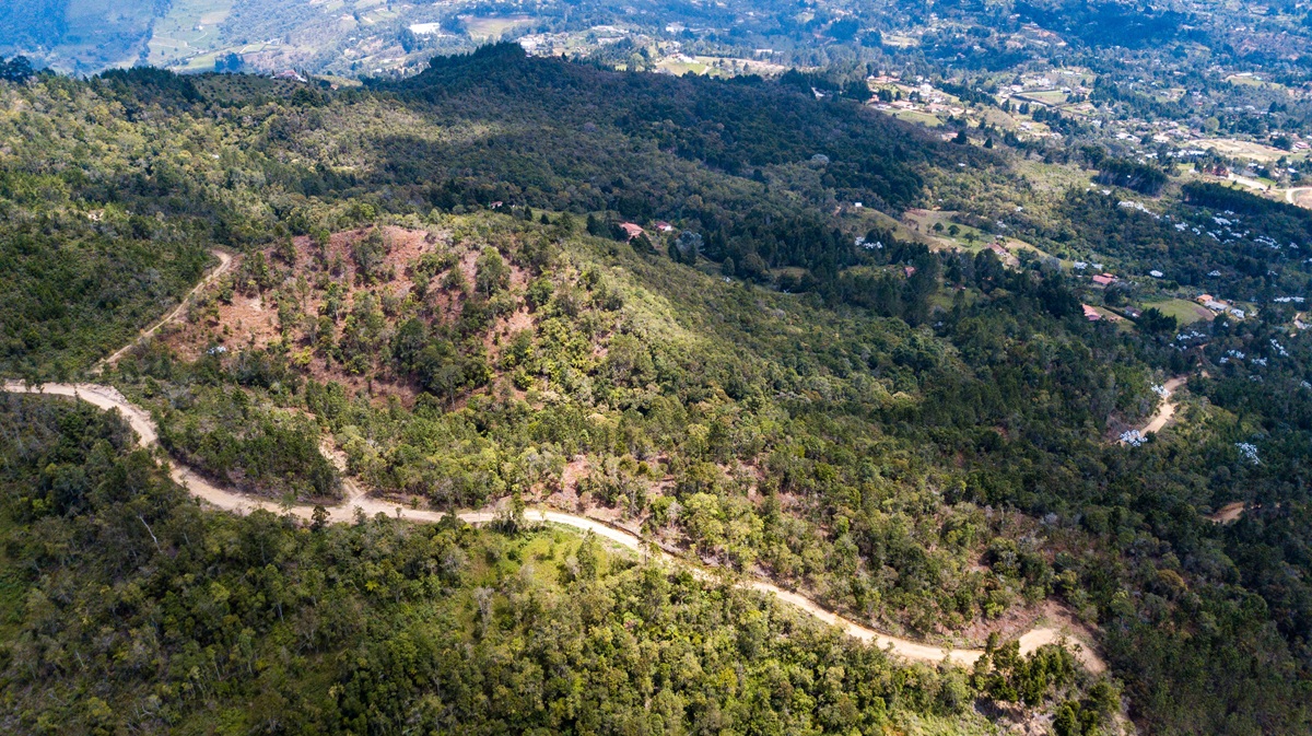 DJI_0041
