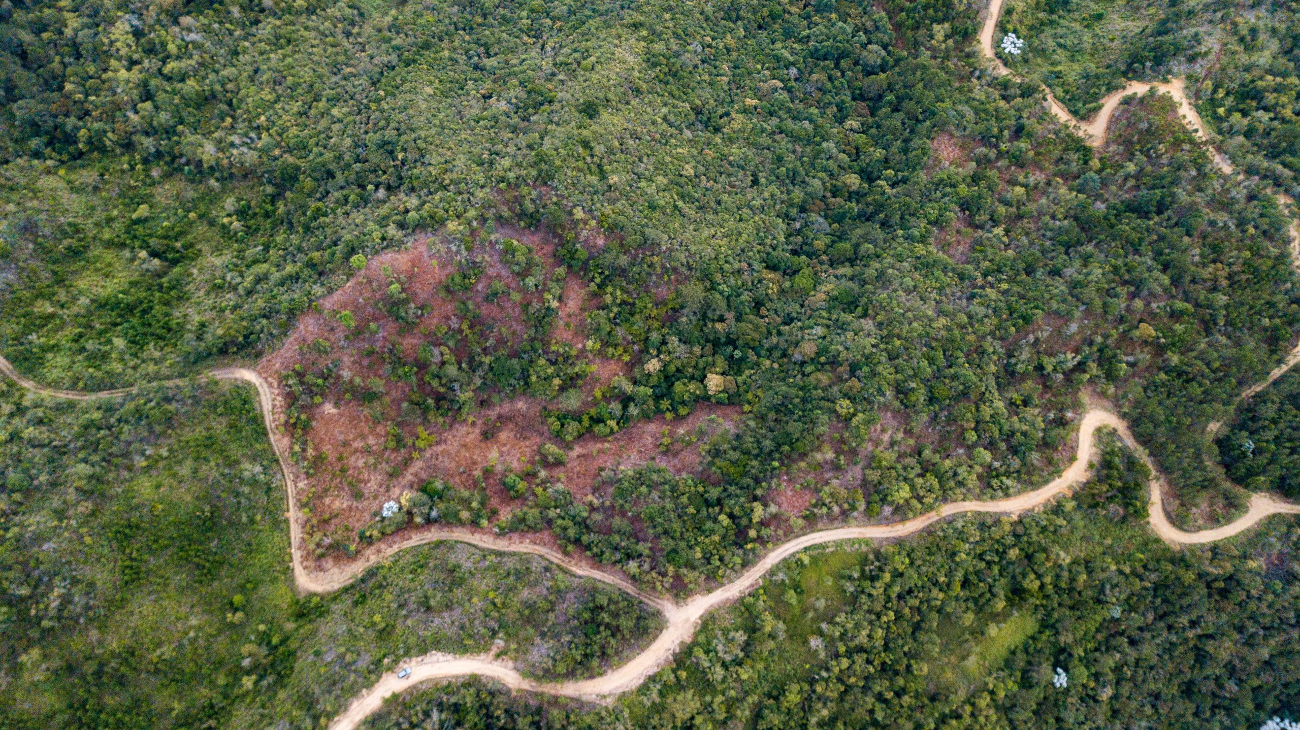 DJI_0096
