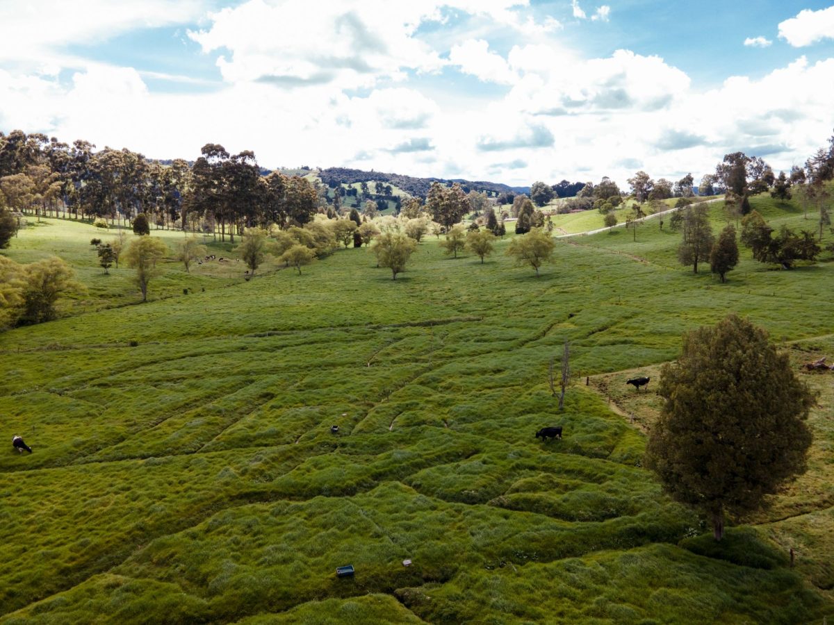 DJI_0311