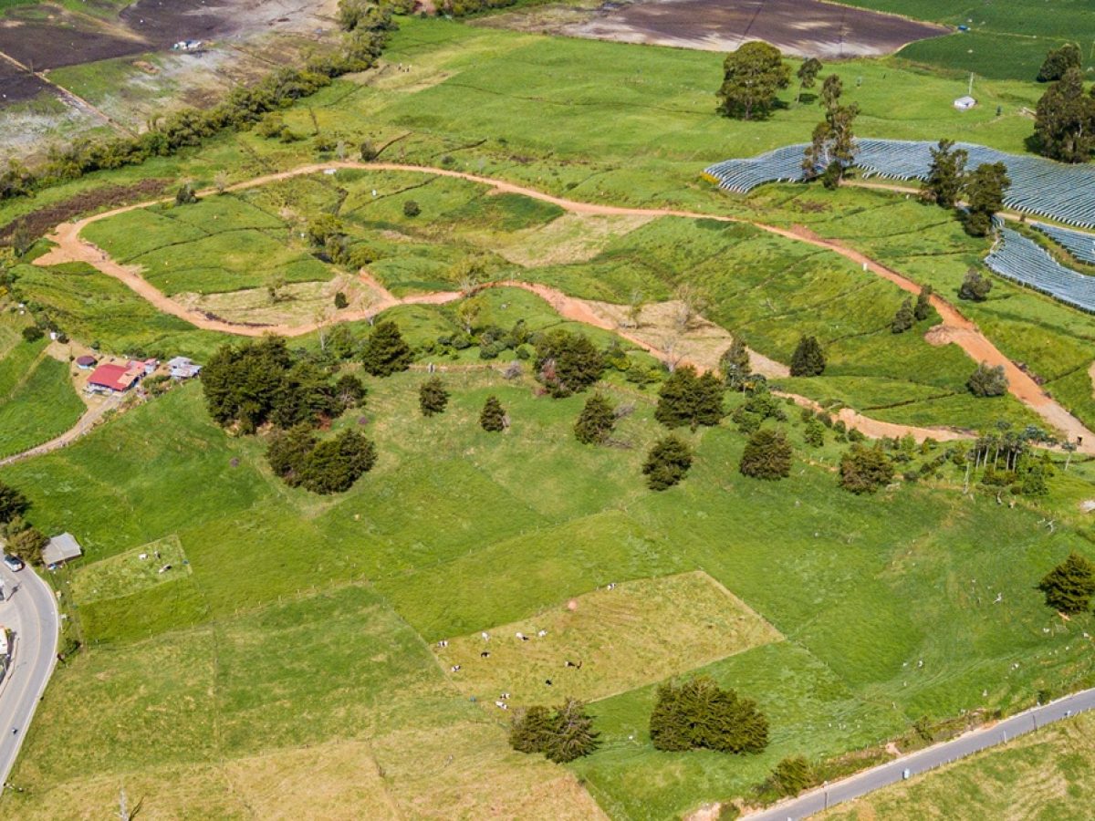 DJI_0434