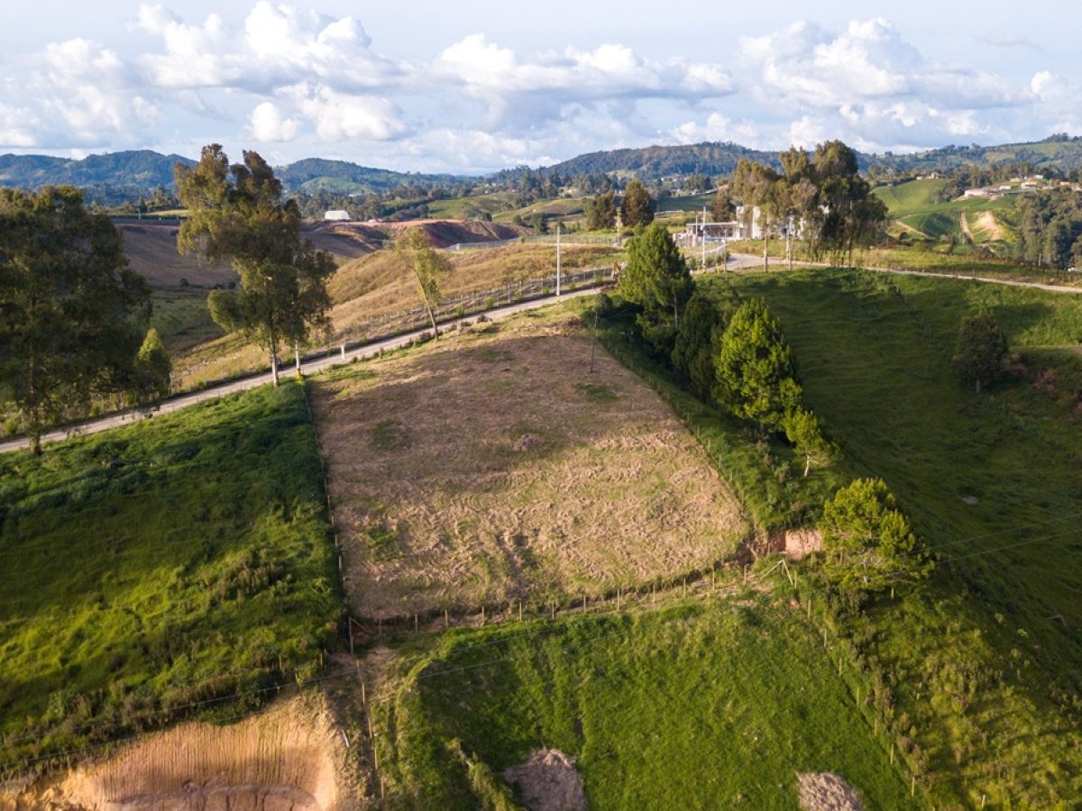 DJI_0536