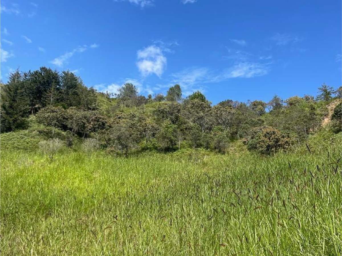 FOTOS Y PLANOS PROYECTOS DESPENSA_GUACIRU_2