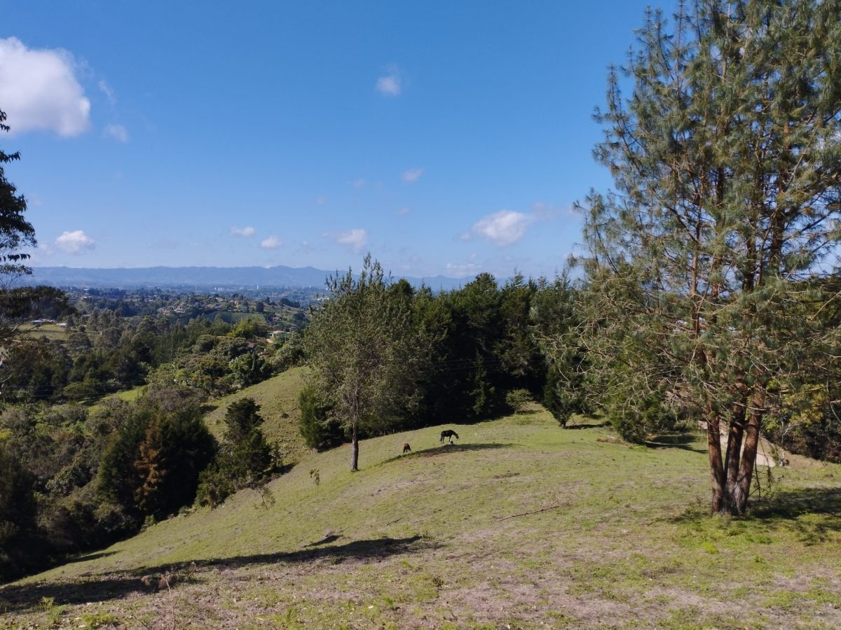 IMG_20220522_091952-min