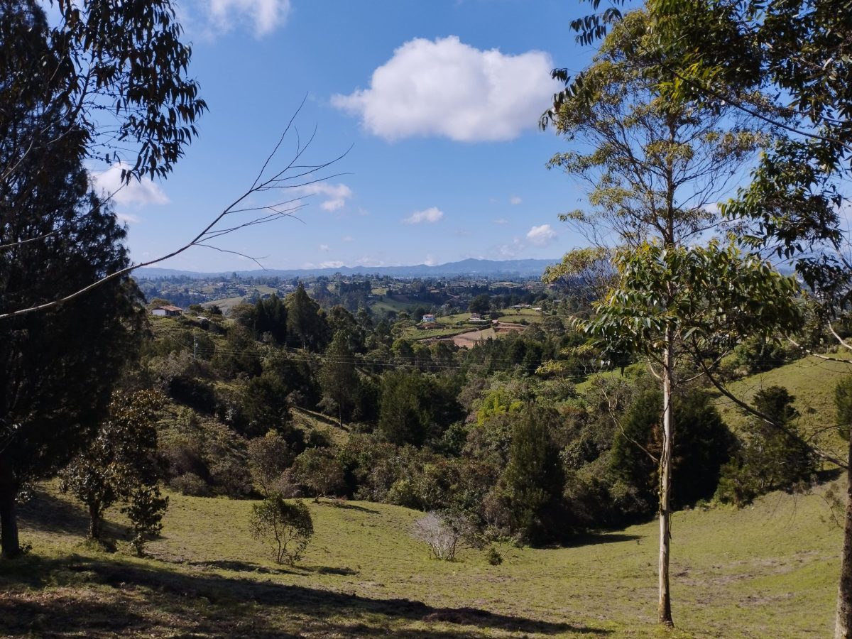 IMG_20220522_092012-min