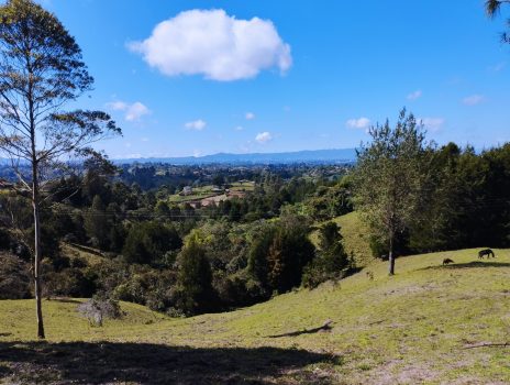 Piedras blancas-min