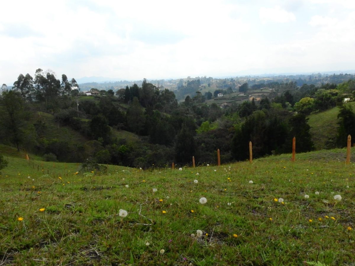 WhatsApp Image 2023-03-12 at 8.52.53 AM (2)-min