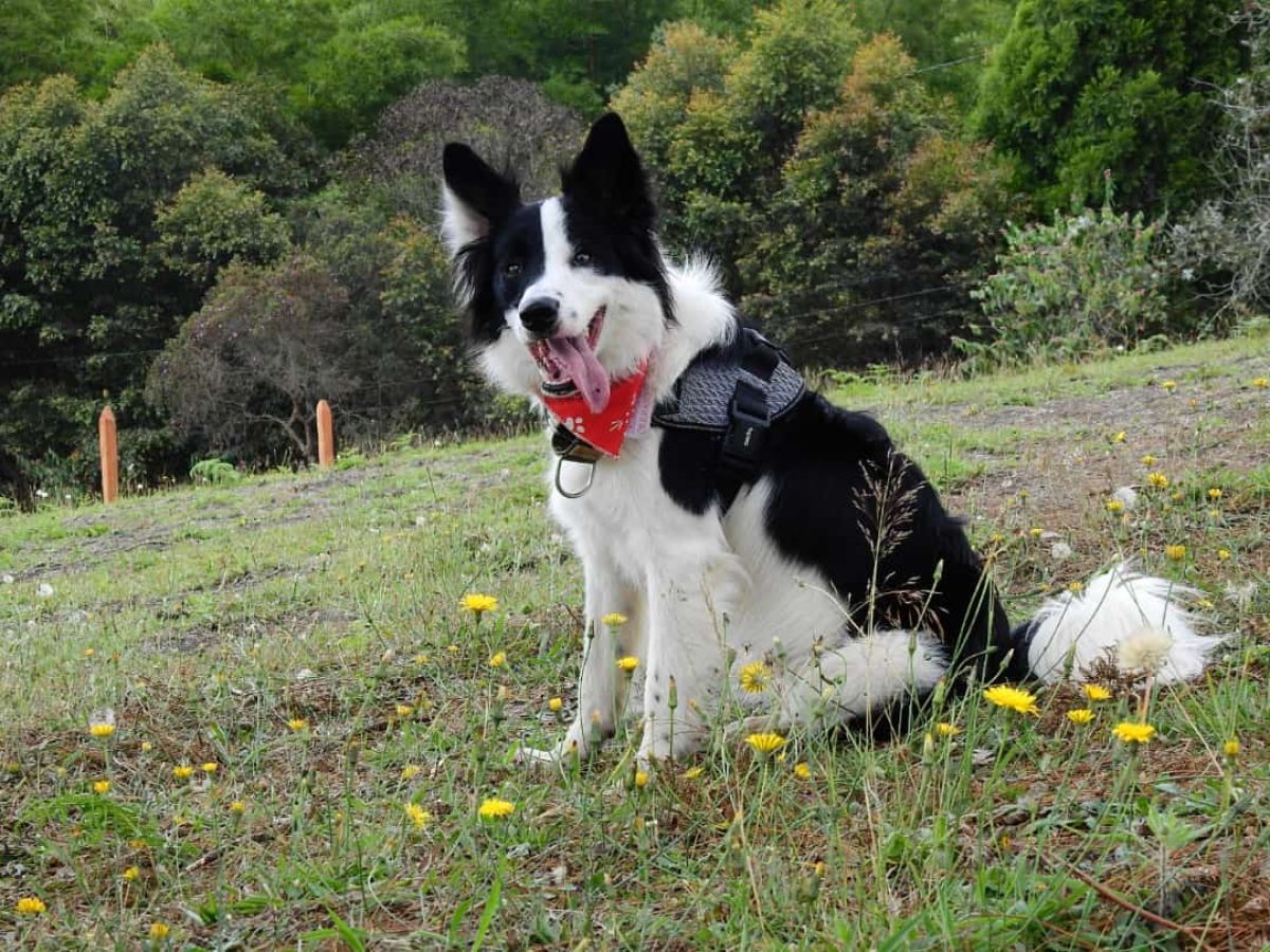 WhatsApp Image 2023-03-12 at 8.52.53 AM-min