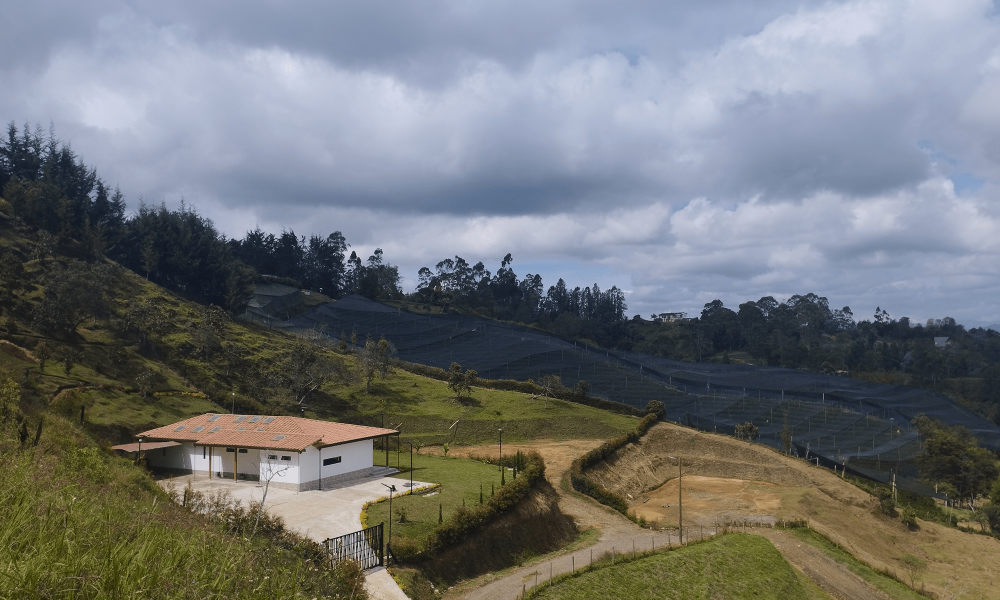 blog_2_2-min