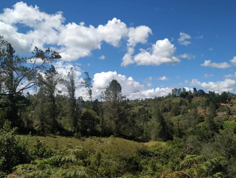 horizontes_principal